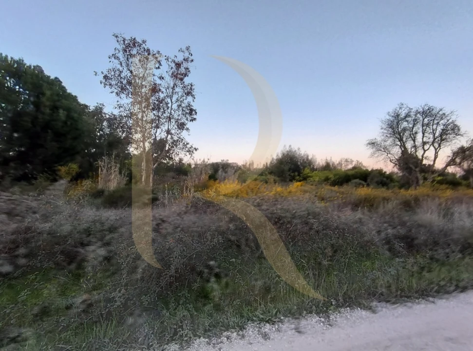 Terreno para Venda em Pegões Foto 12