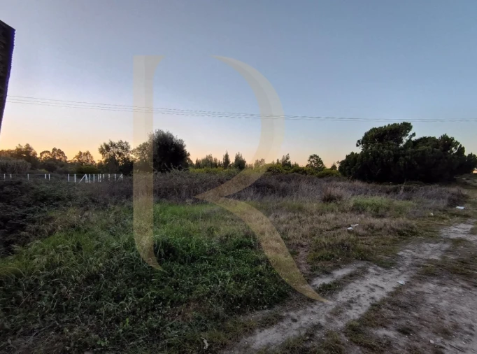 Terreno para Venda em Pegões Foto 1