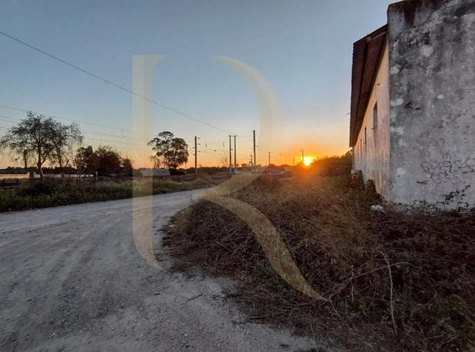 Terreno para Venda em Pegões Foto 6