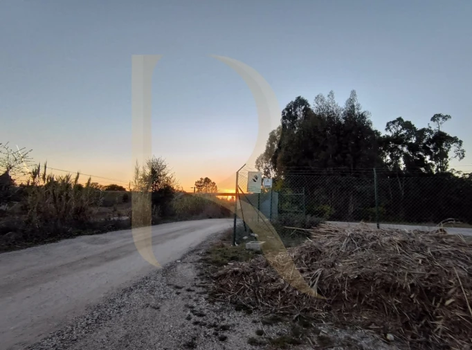 Terreno para Venda em Pegões Foto 11