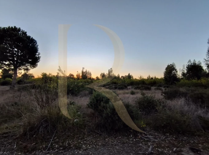 Terreno para Venda em Pegões Foto 13