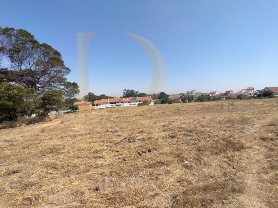 Terreno para Venda em Amora Foto 3