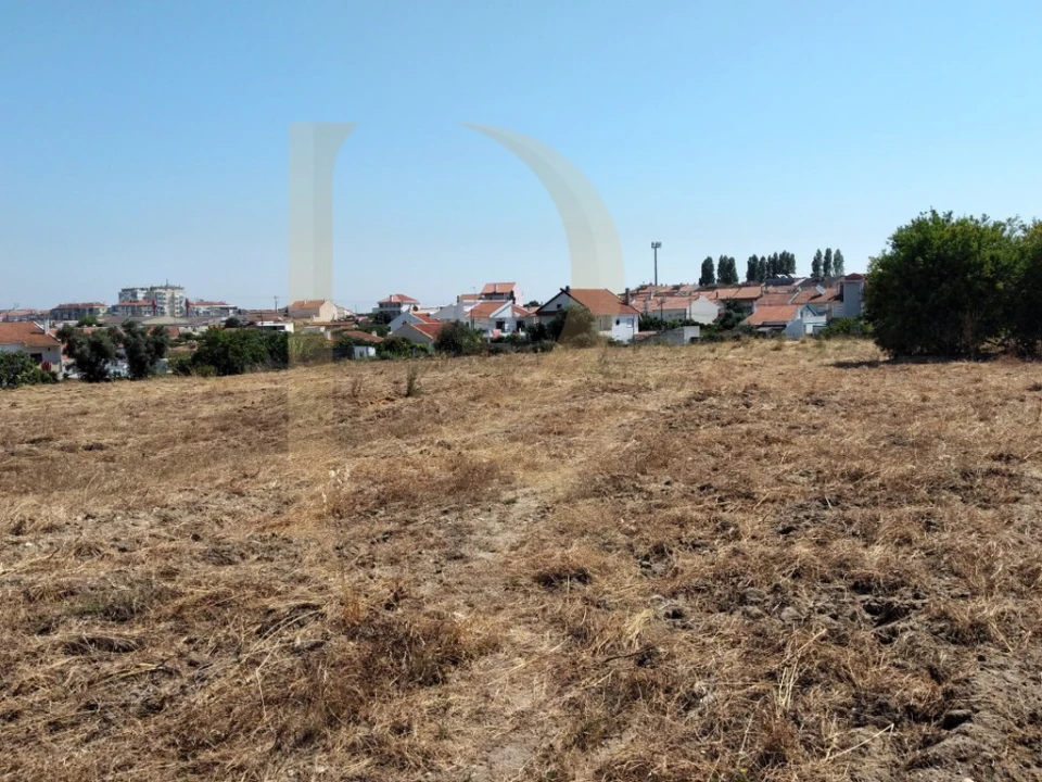 Terreno para Venda em Amora Foto 1