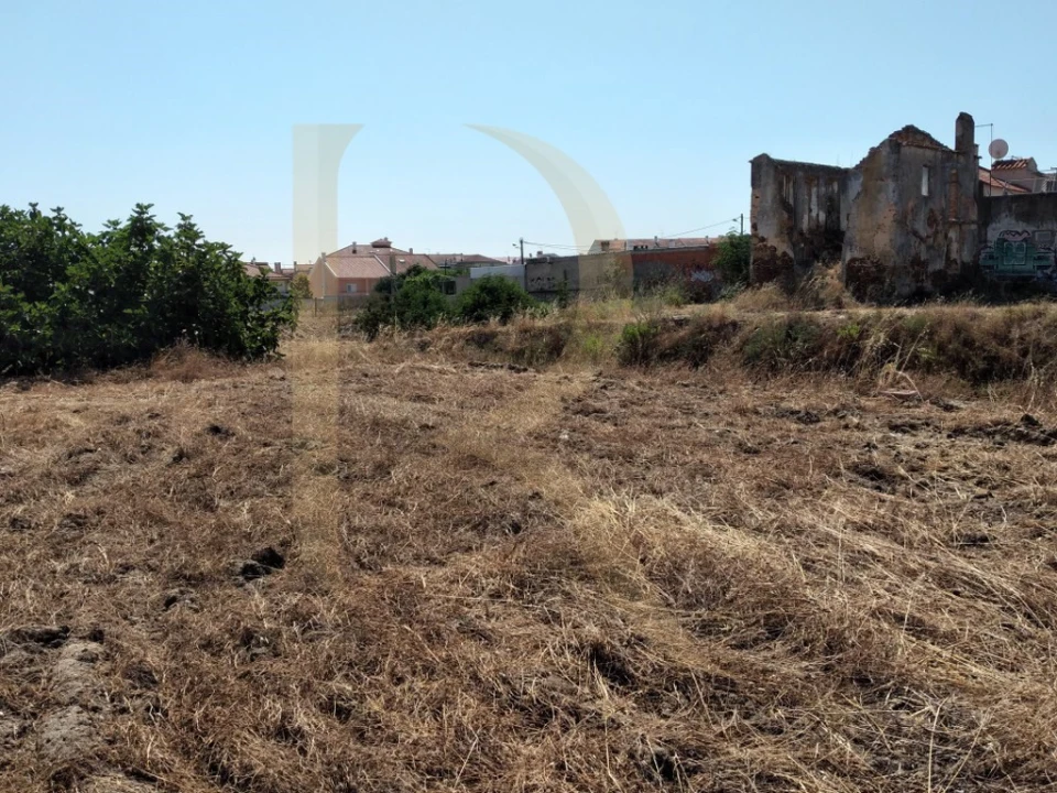 Terreno para Venda em Amora Foto 4