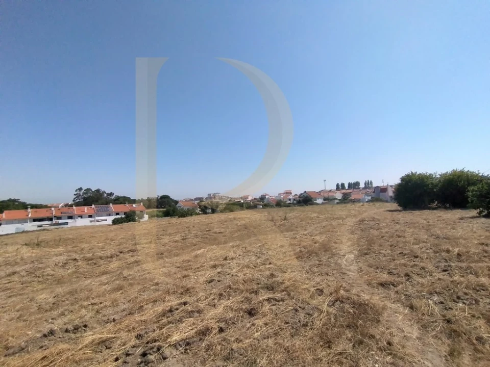 Terreno para Venda em Amora Foto 2