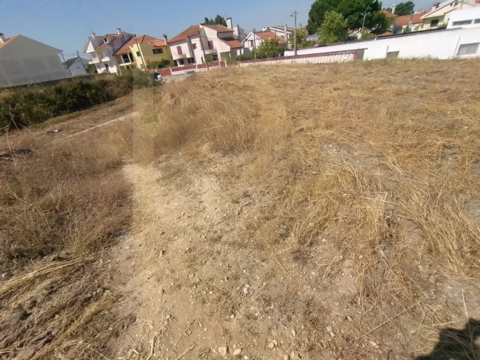 Terreno para Venda em Amora Foto 6