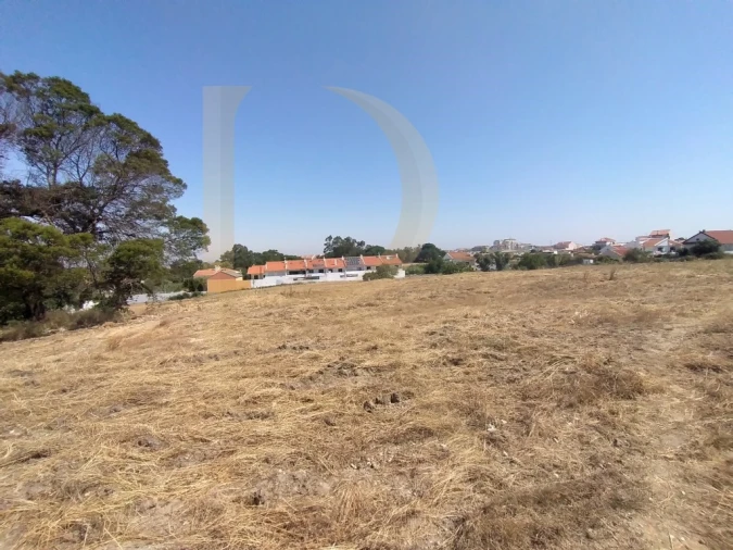 Terreno para Venda em Amora Foto 3