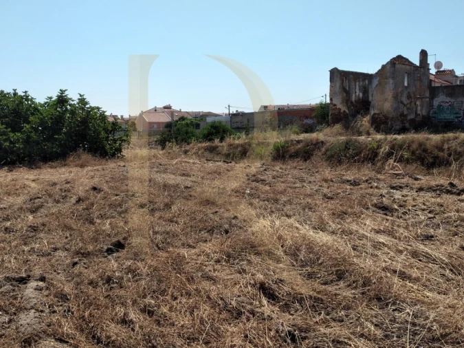 Terreno para Venda em Amora Foto 4