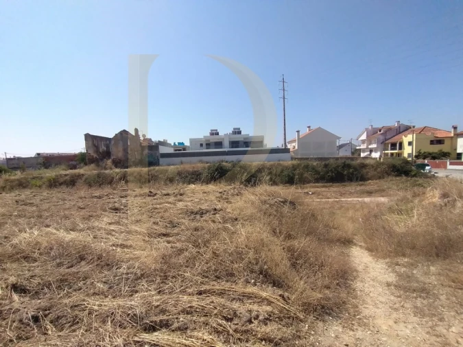 Terreno para Venda em Amora Foto 5