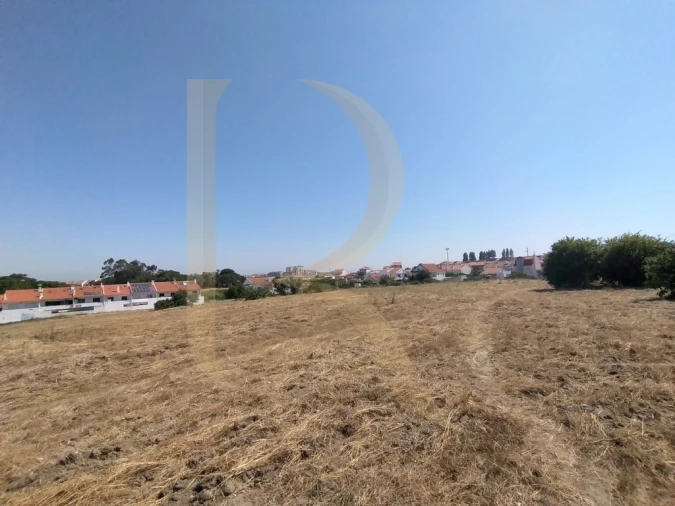 Terreno para Venda em Amora Foto 2