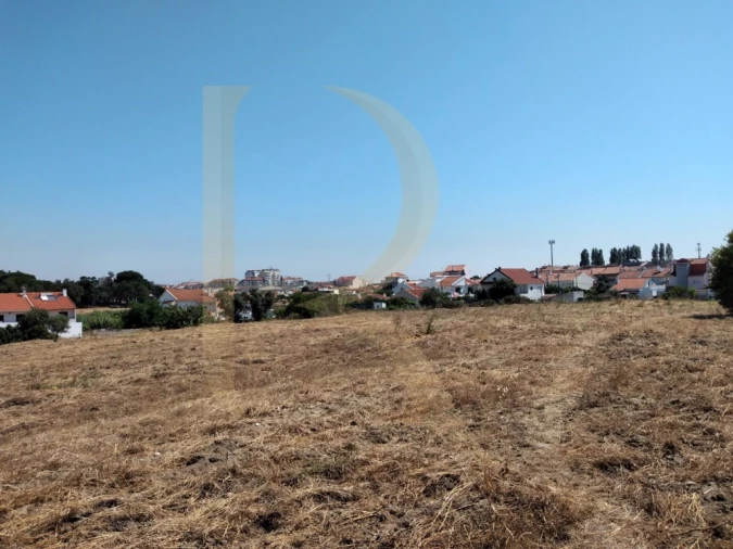 Terreno para Venda em Amora Foto 7