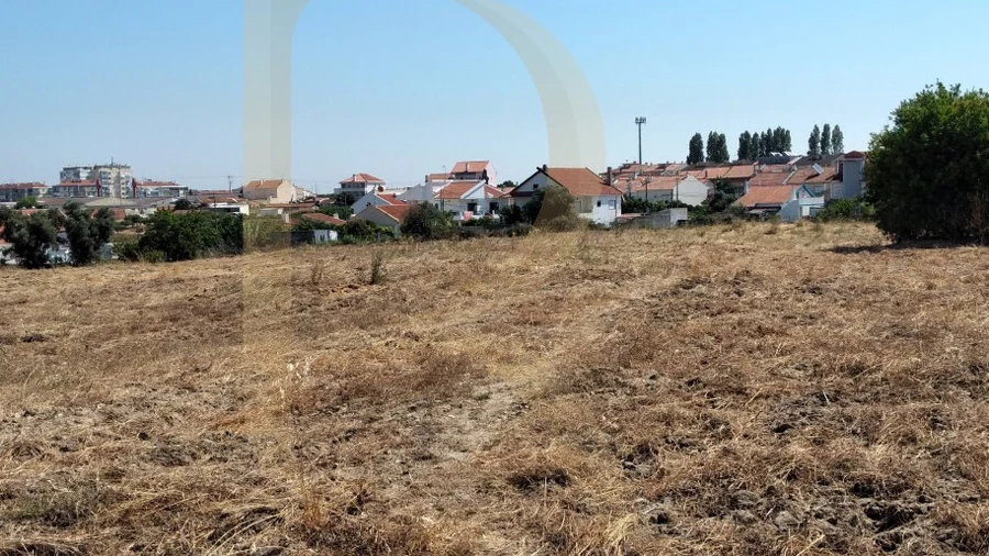 Terreno para Venda em Amora