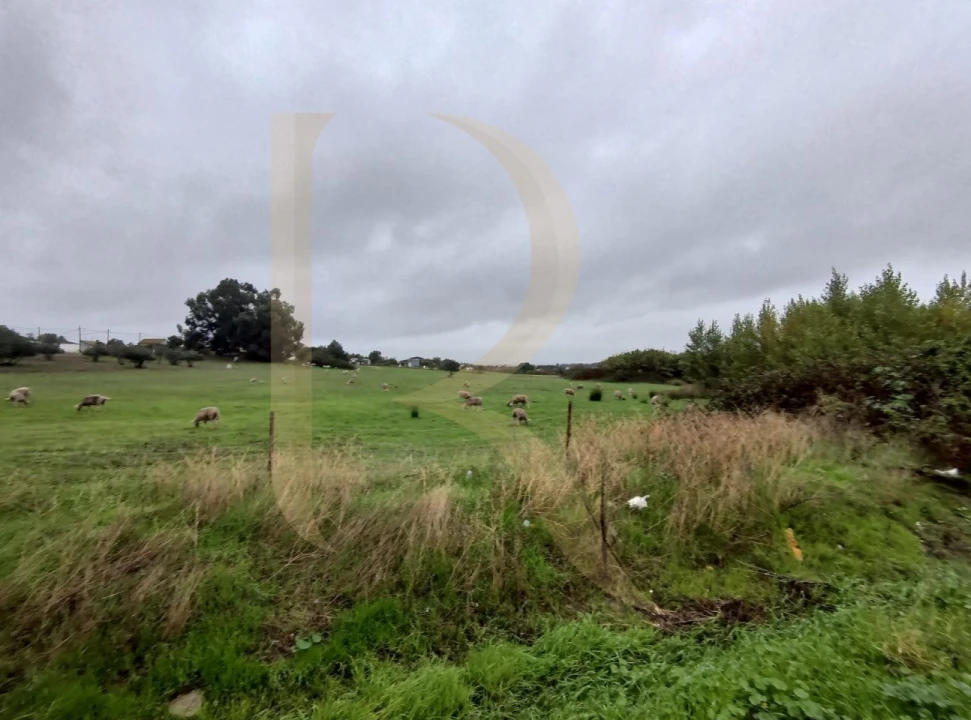Terreno para Venda em Santo Antonio da Charneca Foto 7