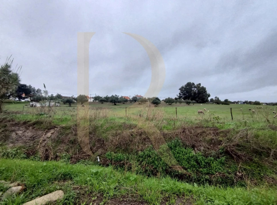 Terreno para Venda em Santo Antonio da Charneca Foto 10