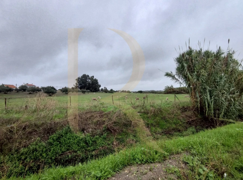 Terreno para Venda em Santo Antonio da Charneca Foto 11
