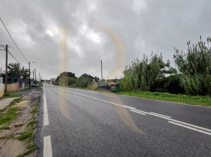 Terreno para Venda em Santo Antonio da Charneca Foto 5