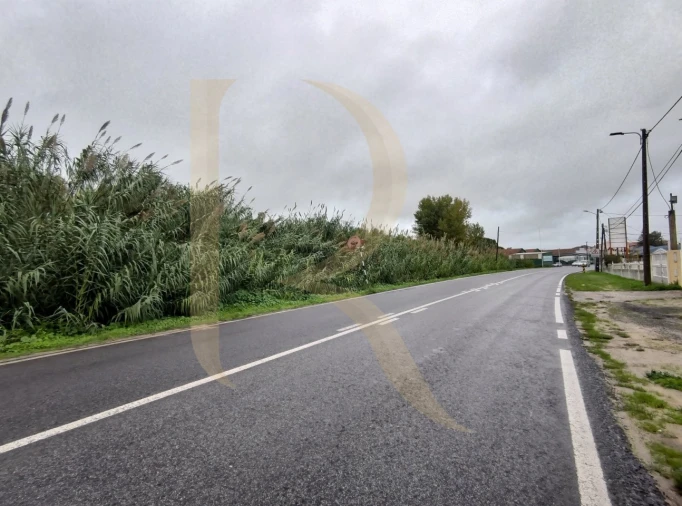 Terreno para Venda em Santo Antonio da Charneca Foto 6