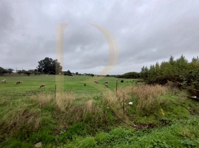 Terreno para Venda em Santo Antonio da Charneca Foto 7