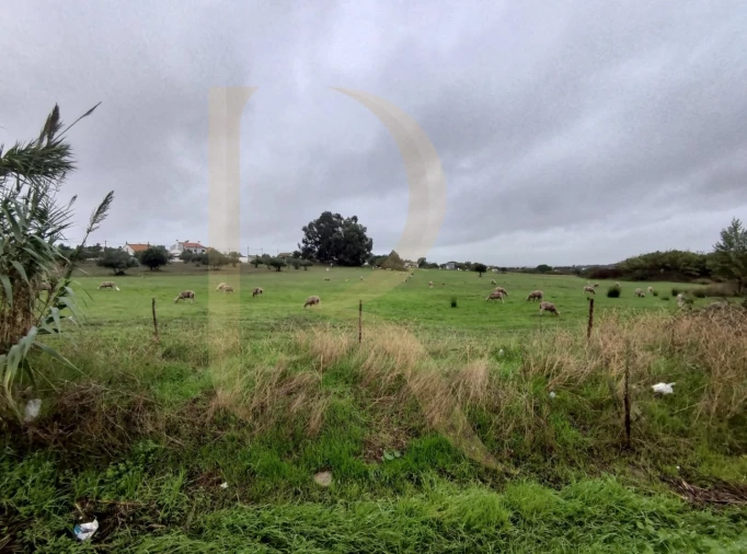 Terreno para Venda em Santo Antonio da Charneca Foto 8