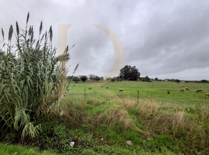 Terreno para Venda em Santo Antonio da Charneca Foto 9