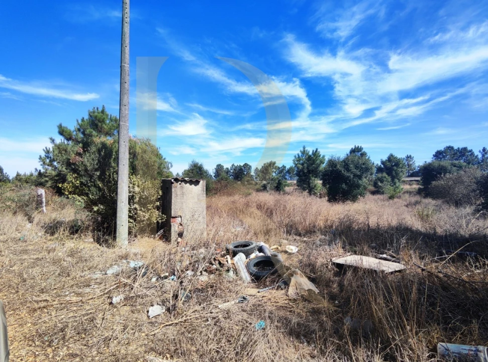 Terreno para Venda em Quinta do Anjo Foto 3