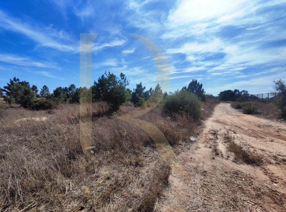 Terreno para Venda em Quinta do Anjo Foto 9