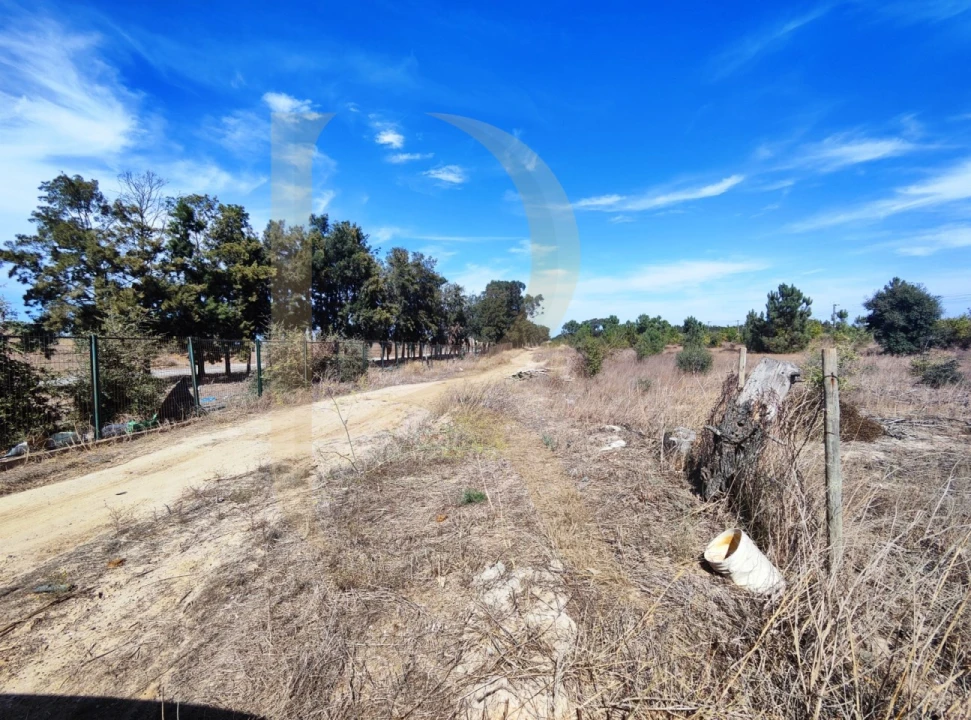 Terreno para Venda em Quinta do Anjo Foto 12