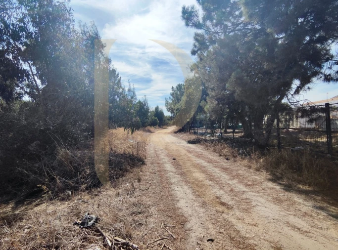 Terreno para Venda em Quinta do Anjo Foto 4