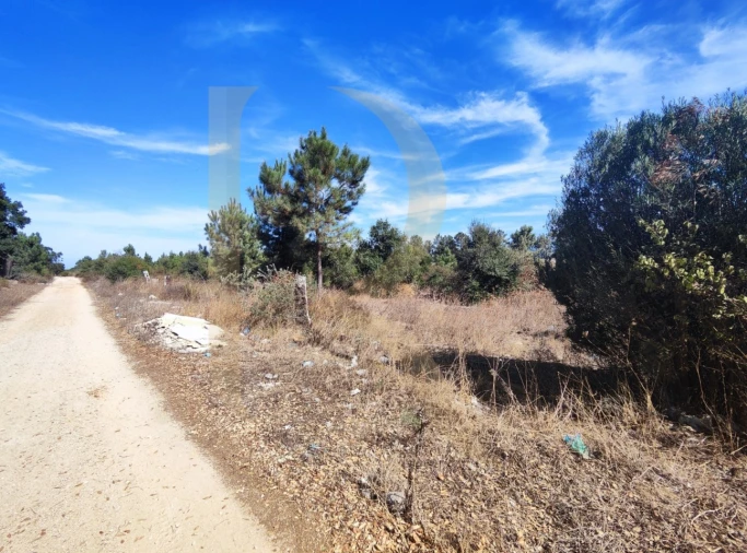 Terreno para Venda em Quinta do Anjo Foto 6