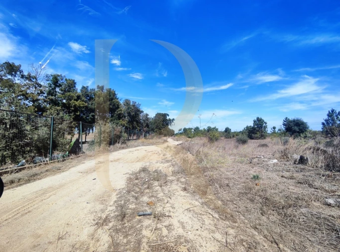 Terreno para Venda em Quinta do Anjo Foto 7
