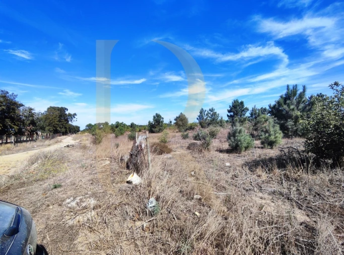 Terreno para Venda em Quinta do Anjo Foto 11