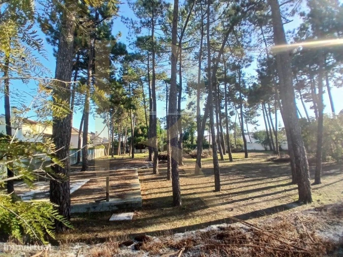 Terreno para Venda em Charneca de Caparica e Sobreda Foto 6
