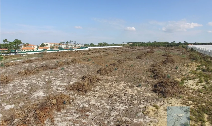 Terreno para Venda em Santa Maria, São Pedro e Matacães Foto 7