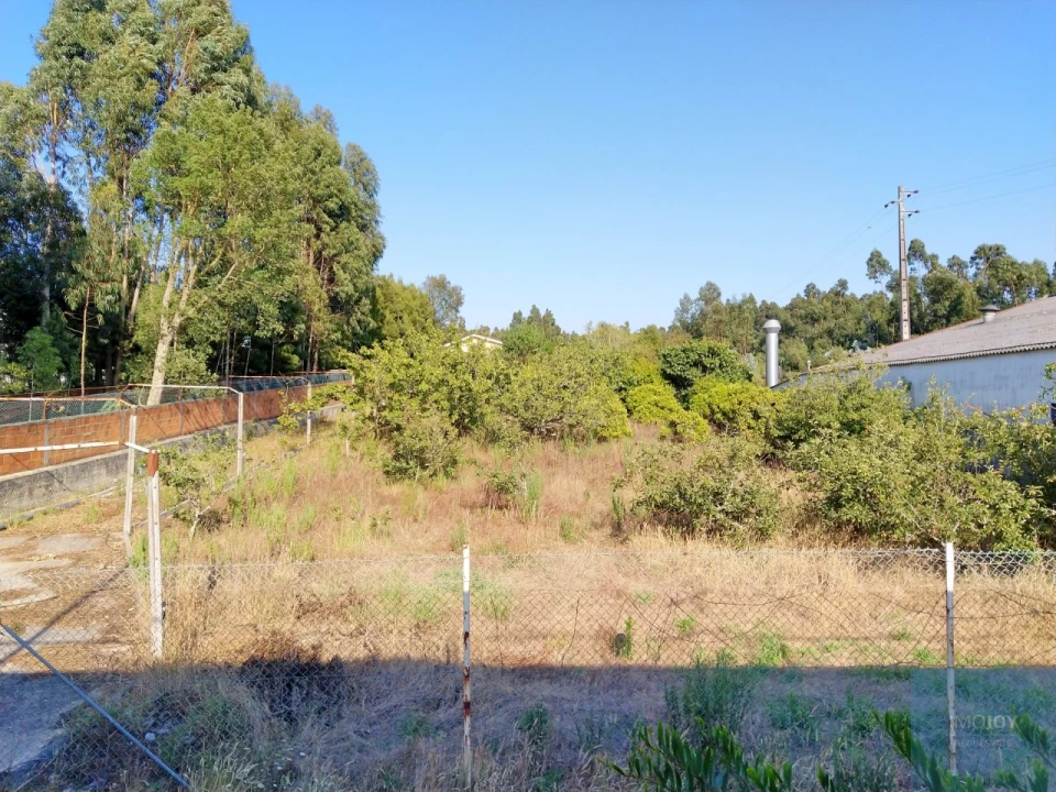 Terreno para Venda em Maceda Foto 3