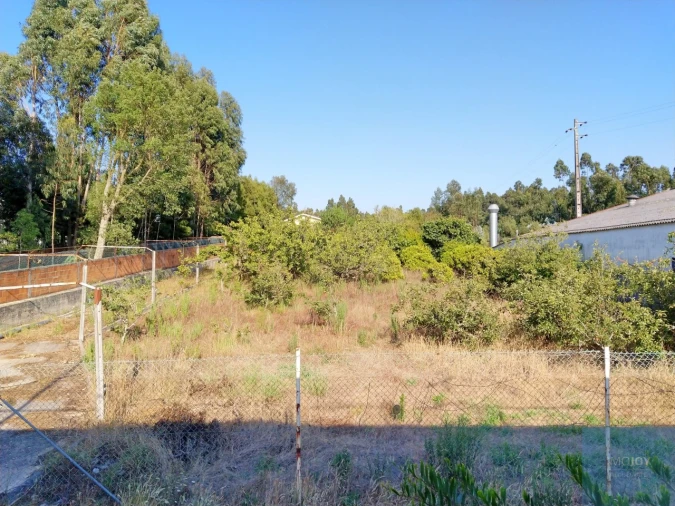 Terreno para Venda em Maceda Foto 3