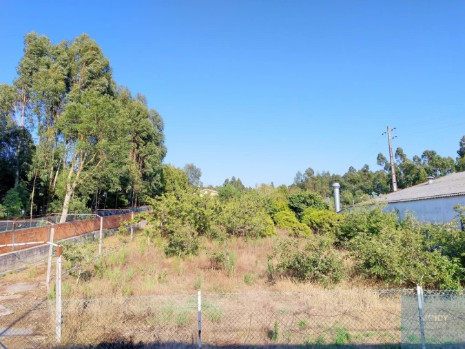 Terreno para Venda em Maceda Foto 2