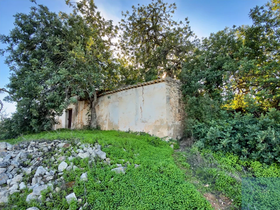 Terreno para Venda em Paderne Foto 4