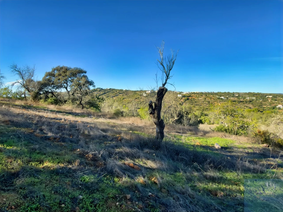 Terreno para Venda em Paderne Foto 8