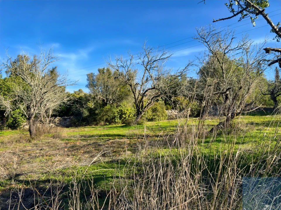 Terreno para Venda em Paderne Foto 14