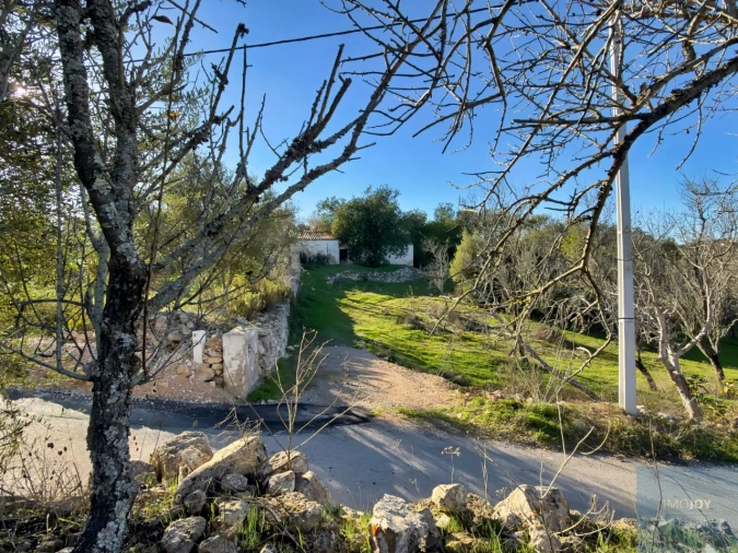 Terreno para Venda em Paderne Foto 9