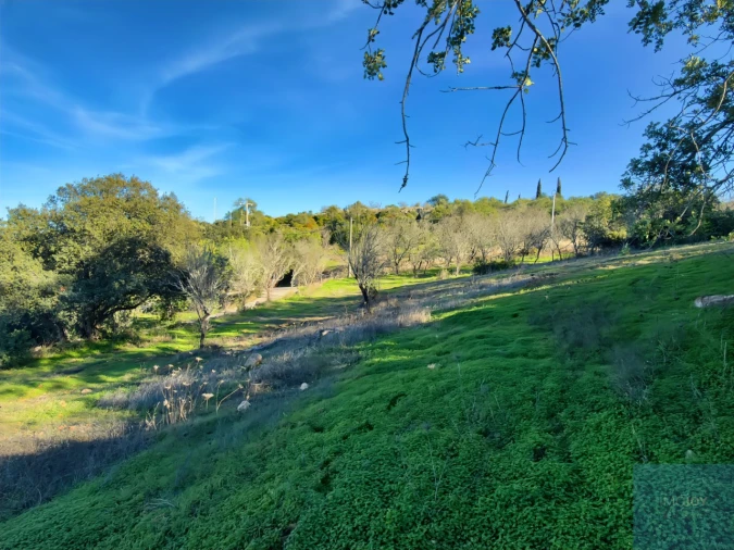 Terreno para Venda em Paderne Foto 10