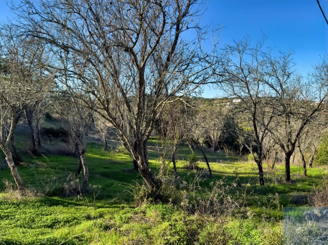 Terreno para Venda em Paderne Foto 13