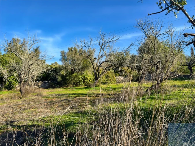 Terreno para Venda em Paderne Foto 14