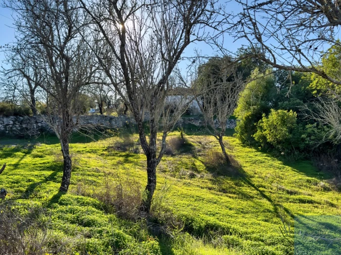 Terreno para Venda em Paderne Foto 28