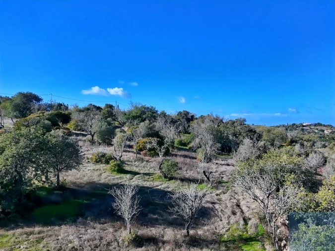 Terreno para Venda em Paderne Foto 29