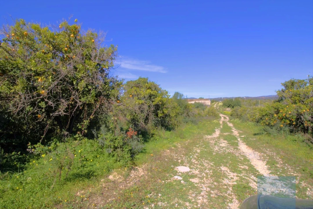 Terreno para Venda em Luz de Tavira e Santo Estêvão Foto 10