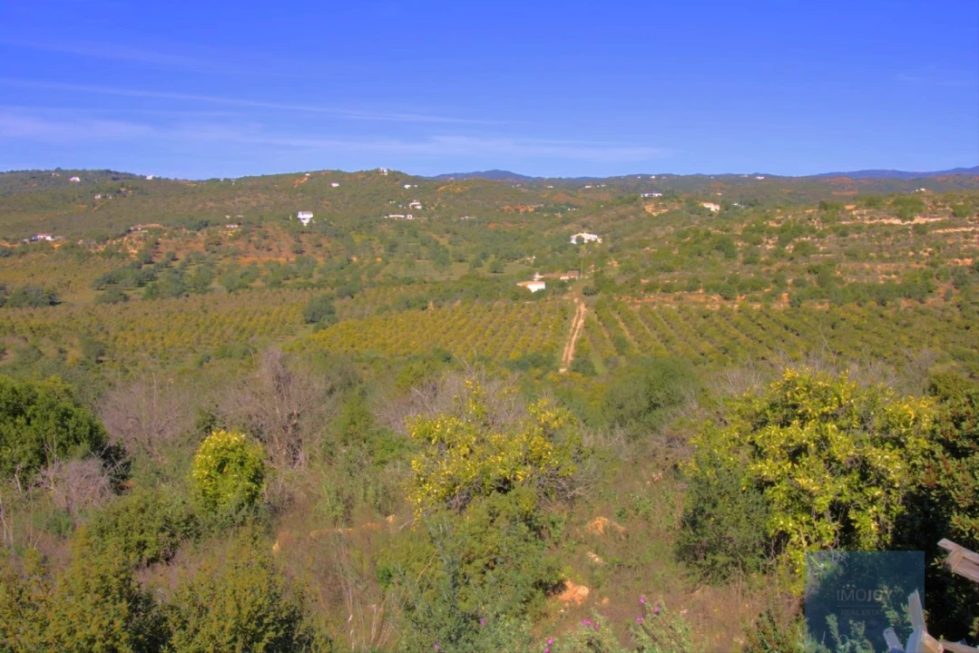 Terreno para Venda em Luz de Tavira e Santo Estêvão Foto 4