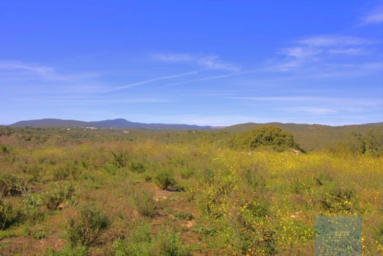 Terreno para Venda em Luz de Tavira e Santo Estêvão Foto 3