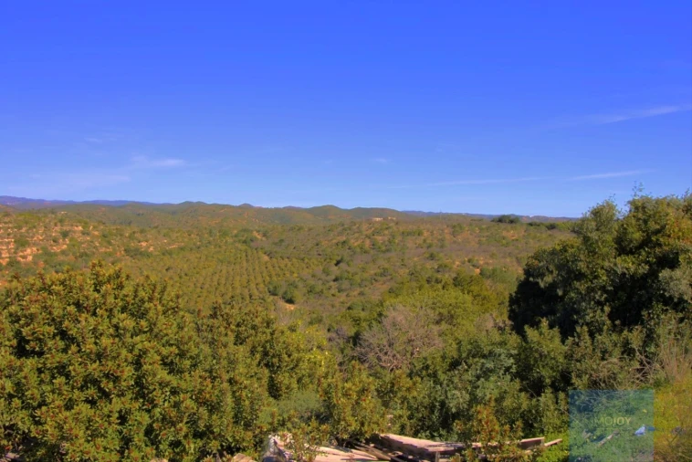 Terreno para Venda em Luz de Tavira e Santo Estêvão Foto 6