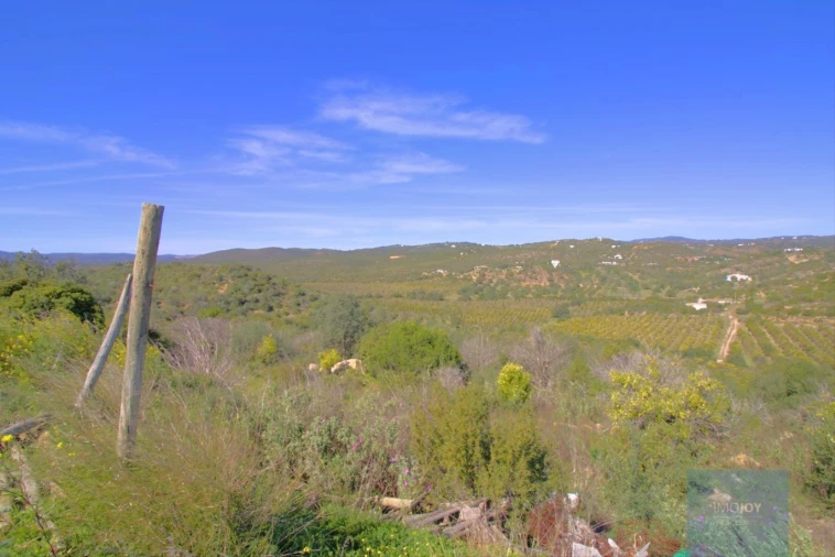 Terreno para Venda em Luz de Tavira e Santo Estêvão Foto 15